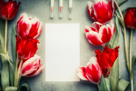 Blank white card with pencil  and tulips flowers, top view, frame. Abstract greeting conceptの写真素材