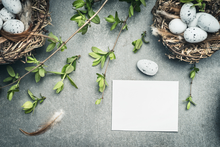 Easter eggs nest with bird feathers and blank white paper card, top viewの写真素材