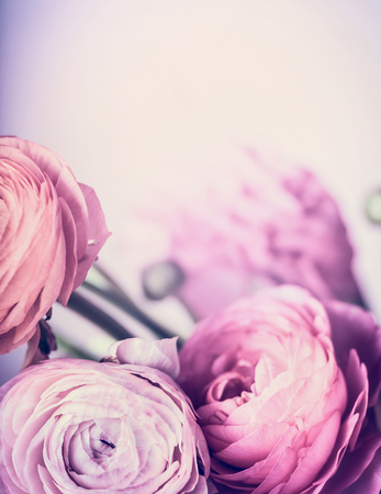 Pale pink flowers on pastel background, close up. Floral border and greeting card concept