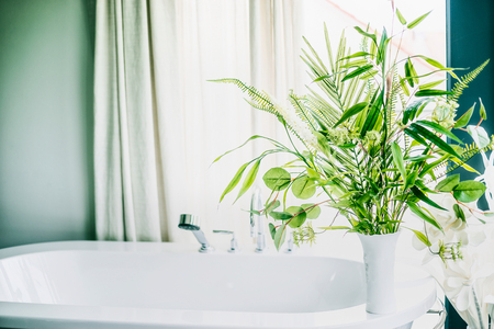 Green indoor plants in vase in bathroom  , home interior conceptの写真素材