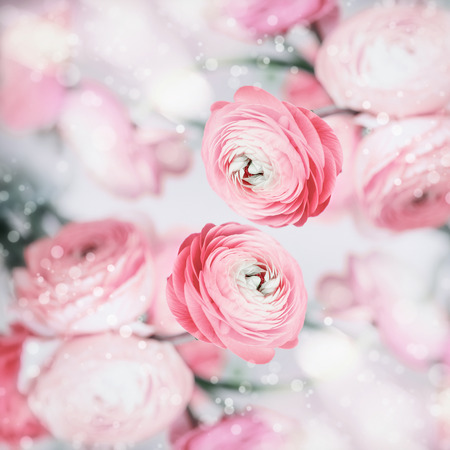 Lovely floral background with pretty pink pale flowers and bokeh, pastel color
