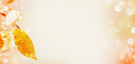 Autumn leaf with raindrops and bokeh on light background, place for text,fall nature bannerの写真素材