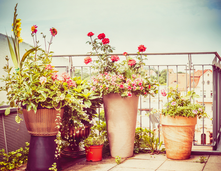 Various flowers patio pots and planter on  terrace or balcony , urban gardenの写真素材