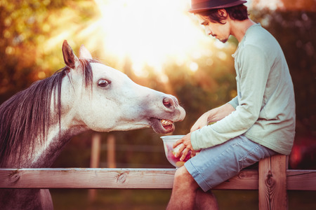 Guy sits on a fence and  feeds the horse treatsの写真素材