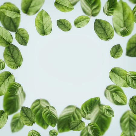 Beautiful flying green leaves background , frame . Creative layout,  nature conceptの写真素材