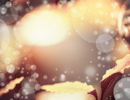 Blurred autumn bokeh backgroundの写真素材
