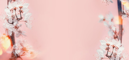 Spring background with white cherry blossom at pastel pink background with sunny bokeh, frame