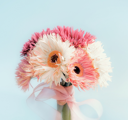 Beautiful Gerbera bunch with ribbon at light blue background, front view. Gift flowersの写真素材