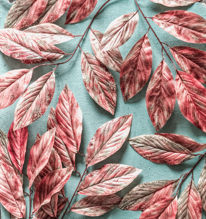 Beautiful pink white tree leaves pattern on pastel blue background , top view, flat lay. Nature conceptの写真素材