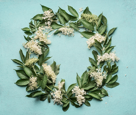 Round frame or wreath of Elderflowers  on blue background, top viewの写真素材