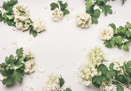 Beautiful frame layout with flowers on white background, top view