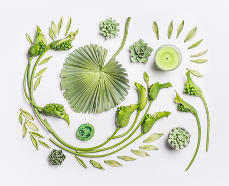 Botanical flat lay with tropical leaves , succulent plants, green flowers and candles on white background, top view. Spa, wellness, beauty, relaxing and vegan skin care conceptの写真素材
