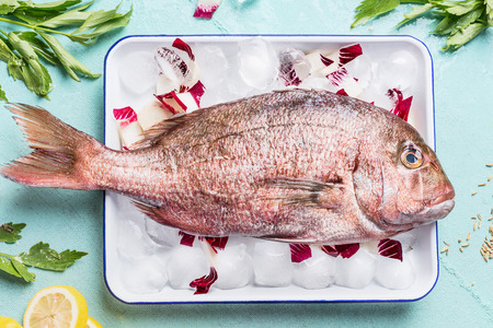 Raw whole fish in tray with ice cubes on light turquoise background with heabs and spices, top view....