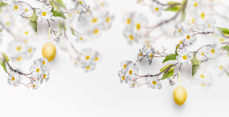 Hanging yellow Easter eggs and spring blossom branches at white wall background, banner. Fresh modern decorative Easter conceptの写真素材