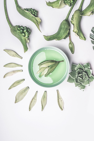 Green flowers and leaves in water bowl on white table background , top view. Beauty and natural spa and cosmetic conceptの写真素材