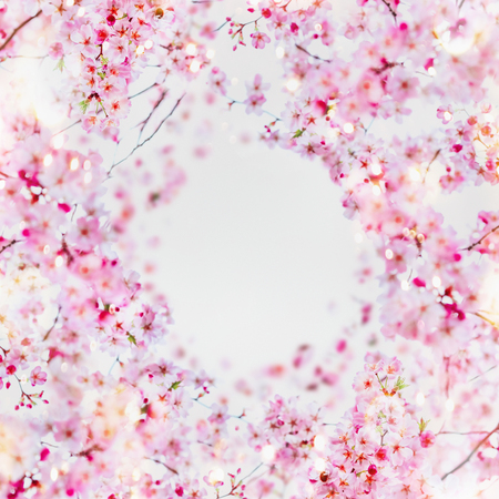 Beautiful spring blossom frame background. Round circle frame with pink blossom on white. Springtime nature, selective focus. Cherry blossomの写真素材