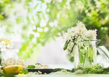 Elderflowers in glass jar on kitchen table with lemon and sugar. Homemade elderflower cooking preparation. Elder flower syrup , jam, tea or lemonade making.の写真素材