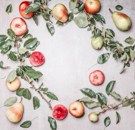 Seasonal garden fruits: apples,  pears, peaches with branches and leaves on gray background, top...
