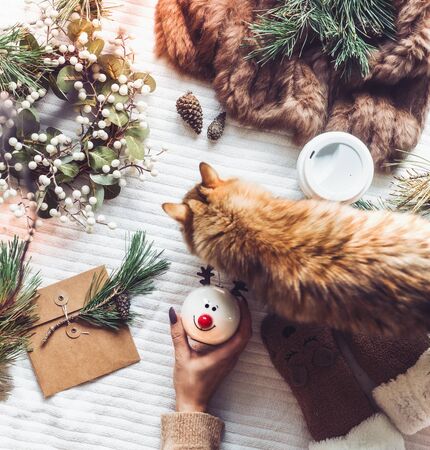 Cozy winter home concept with ginger cat and female hand holding snowman toy.の写真素材
