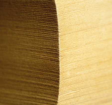 Background contrast angle dark light book concept beigeの写真素材