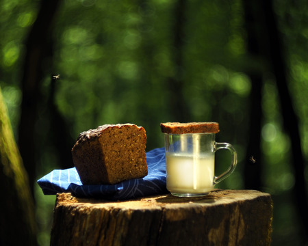 On a stump in the forest lies bread and a glass of milkの写真素材