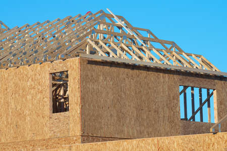 the rafters of the new plywood house