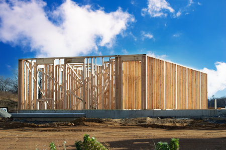 start of construction of a plywood house new framing