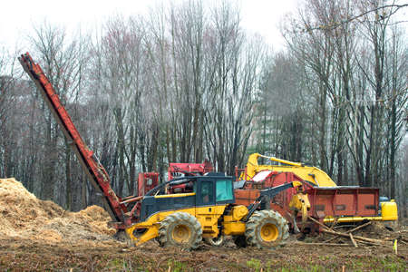 industrial wood shredder producing wood chips from bark mulch natural