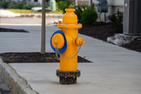 Close-up of yellow fire hydrant outdoor city public color summerの写真素材