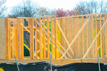 plywood house frame new construction developmentctionの写真素材