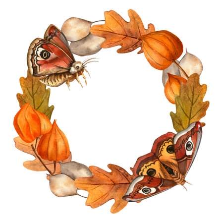 Butterflies and autumn leaves, physalis, lunaria wreath. Isolated watercolor circle frame with white background. Ideal for seasonal fall decor, cover, greeting card, invitation, garden decorationの写真素材