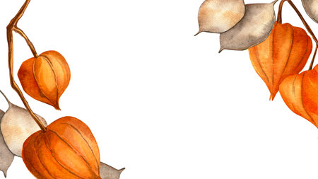 Physalis bulbs and lunaria seeds autumn horizontal botanical frame. Fall warm cozy watercolor illustration on dark background. Seasonal postcard, card, invitation, label, banner, Thanksgiving dayの写真素材