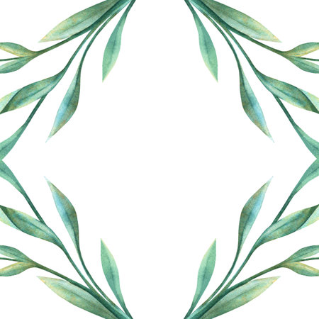 Green leaves elegant rhombus frame. Elegant spring diamond shape template. Hand drawn floral watercolor. Perfect for seasonal arrangement, wedding invitation and romantic decoration, greeting cardの写真素材