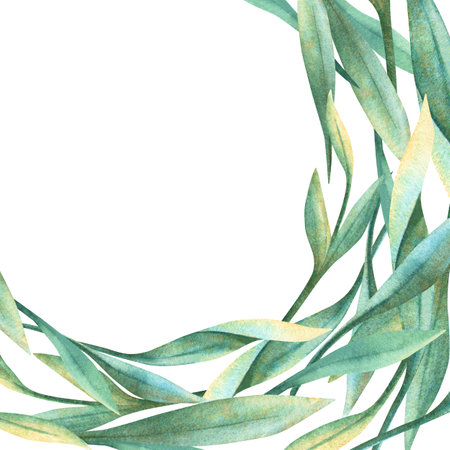 Green leaves spring template. Square botanical frame with ornate decor. Floral hand drawn floral watercolor. Perfect for romantic wedding theme, seasonal arrangement, greeting card, invitationの写真素材