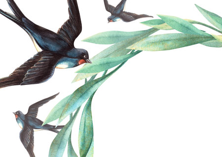 Spring foliage and swallows horizontal frame. Floral hand drawn watercolor template with birds and green leaves. Perfect for elegant seasonal themes, natural arrangement, wedding invitation, postcardの写真素材