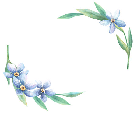 Forget-me-not blossom horizontal template. Floral spring watercolor frame of blue flowers myosotis twig. Perfect for romantic, botanical themes, vintage banner, seasonal greeting card, retro postcardの写真素材