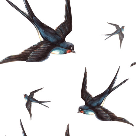 Swallows birds spring seamless pattern in vintage style. Hand drawn watercolor isolated birds template. Perfect for retro wrapping paper, seasonal arrangement, Valentines day or wedding decorationの写真素材