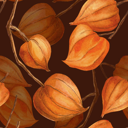 Burgundy autumn seamless pattern of physalis in vintage style. Botanical hand drawn watercolor texture. Elegant fall twig with physalis fruit background. Perfect for seasonal fall decoration, colorful fabrics, wallpaper.の写真素材