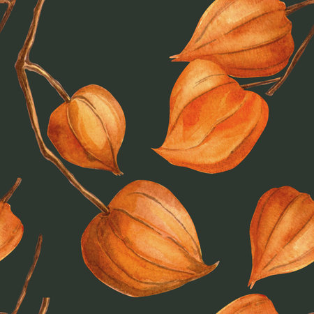 Emerald physalis autumn vintage seamless pattern. Botanical watercolor wallpaper with branches. Floral texture, physalis dark green background. Perfect for seasonal fall decoration, fabrics, wrappingの写真素材