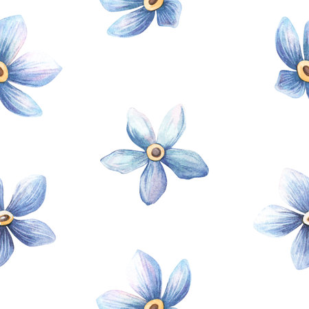 Blue flowers cute seamless pattern. Forget-me-not watercolor elegant texture Romantic light vintage illustration. Perfect for floral fabrics, botanical textiles, natural background, seasonal wallpaperの写真素材