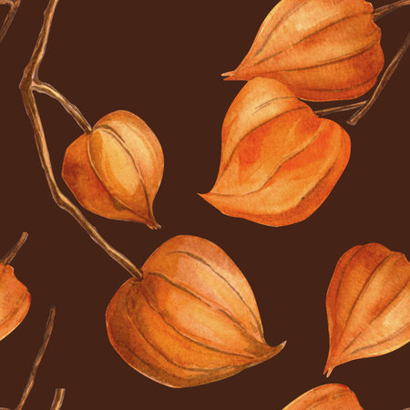 Dark burgundy vintage autumn seamless pattern with physalis. Floral watercolor wallpaper with plants. Retro texture, physalis garden background. Perfect for seasonal fall decoration, fabrics, wrappingの写真素材