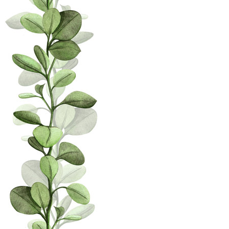 Spring floral seamless bordure with green twig and new leaves. Hand drawn watercolor template - border with botanical elements. Perfect for seasonal arrangement, greenery themes, wedding, Easter decorの写真素材