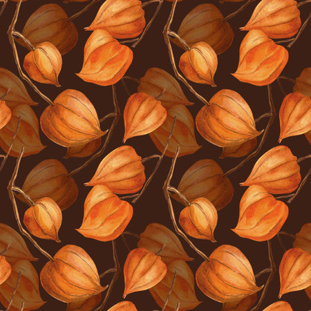 Burgundy autumn seamless pattern of physalis in vintage style. Botanical watercolor texture. Elegant fall twig with physalis background. Perfect for seasonal fall decoration, fabrics, wallpaper.の写真素材