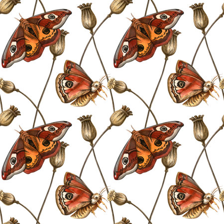 Elegant botanical seamless pattern with peacock butterflies and dried poppy bulbs. Watercolor autumn seasonal herbal wallpaper. Ideal for feminine fabrics, botanical print, vintage wrapping, textureの写真素材