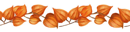 Bright physalis, Chinese lantern seamless border. Banner of goldenberry, winter cherry, gooseberry twigs bordure. Perfect for autumn seasonal decoration, food theme, home textile, kitchenware, fabricsの写真素材