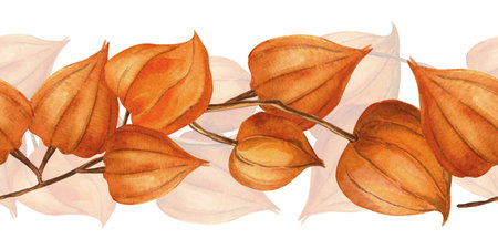 Chinese lantern, goldenberry seamless border. Autumn bordure of physalis, winter cherry, Inka berry, gooseberry twigs. Perfect for seasonal decoration, food theme, home textile, kitchenware, fabricsの写真素材