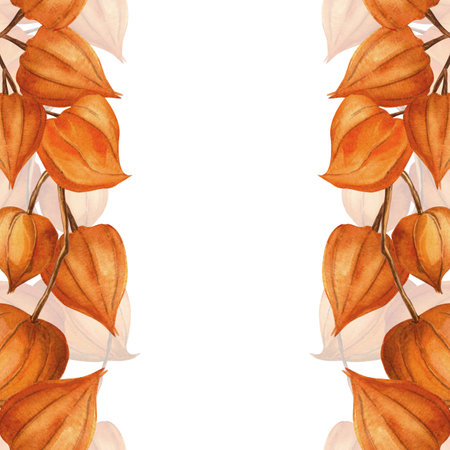 Goldenberry square template with seamless border. Autumn template - Chinese lantern, physalis, winter cherry, gooseberry. Perfect for seasonal decoration, food theme, home textile, kitchenware, fabricの写真素材