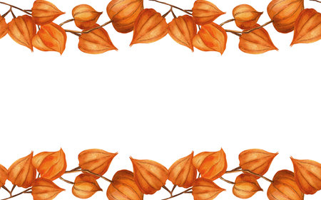 Chinese lanterns physalis square template with seamless border. Autumn template - goldenberry, winter cherry, gooseberry. Perfect for seasonal decoration, food theme, home textile, kitchenware, fabricの写真素材