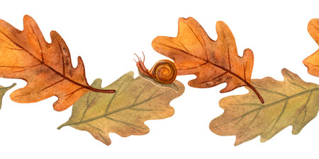 Autumn oak leaves with snail seamless border. Seasonal fall watercolor bordure of colorful foliage and escargot. Botanical banner illustration perfect for home fabric, textile, kitchenware, bedclothesの写真素材