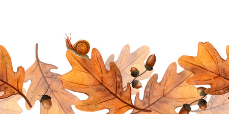 Autumn oak leaves with acorns, snails seamless border. Seasonal fall watercolor bordure of bright foliage and escargot Floral banner perfect for home fabric, textile, kitchenware, bedclothes, wrappingの写真素材